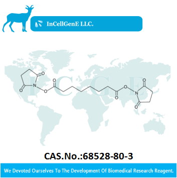 Disuccinimidyl Suberate(DSS) 68528-80-3IC-0521188