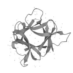 Recombinant Human Interleukin-1 beta(IL1b)CYTH0001