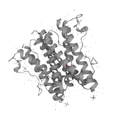 Recombinant Human Interleukin-6(IL-6)CYTH0003